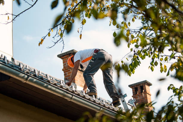 Best Roof Gutter Cleaning  in Herricks, NY